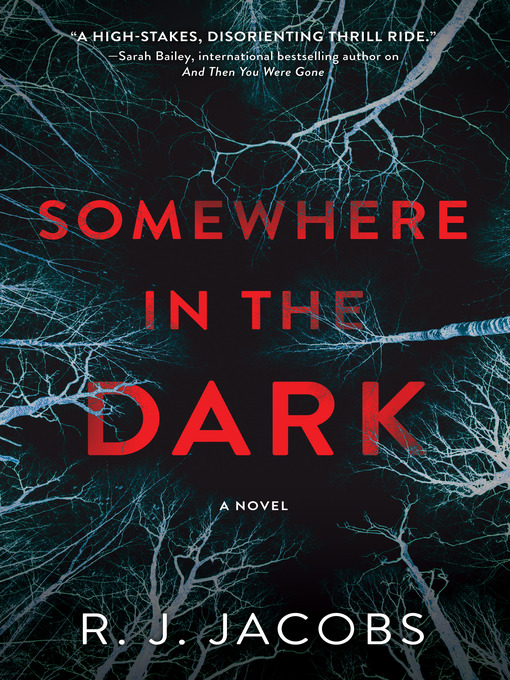 Title details for Somewhere in the Dark by R. J. Jacobs - Available